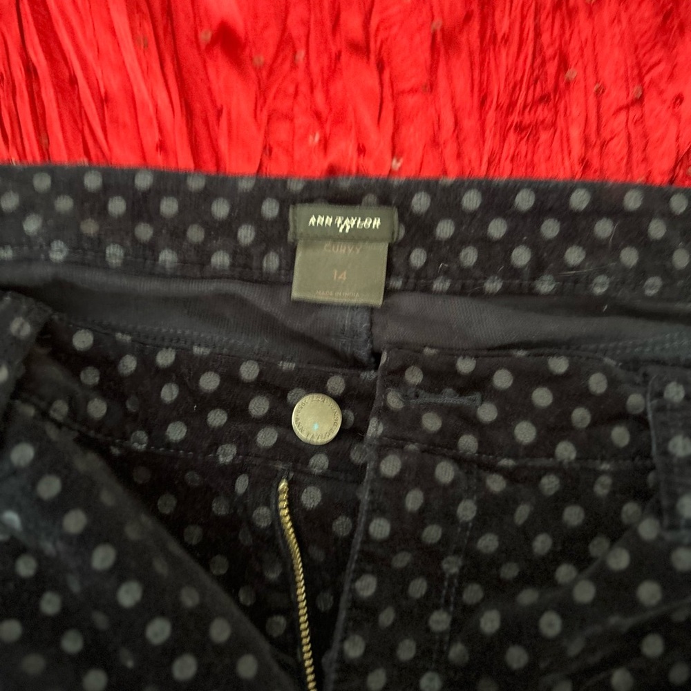 Curvy Ann Taylor